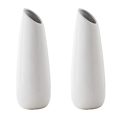 Elegant Ceramic Vase for Home Decor