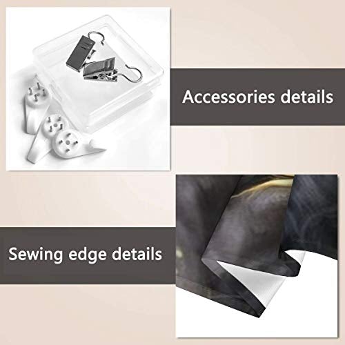 Black and Gold Focused Lion King Wall Hanging Tapestry