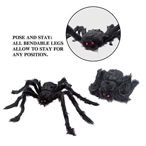 6 Halloween Realistic Hairy Spiders