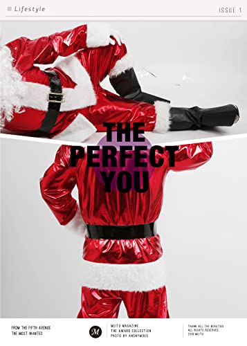 Christmas Santa Claus Costume Complete Santa Outfit w/ Beard