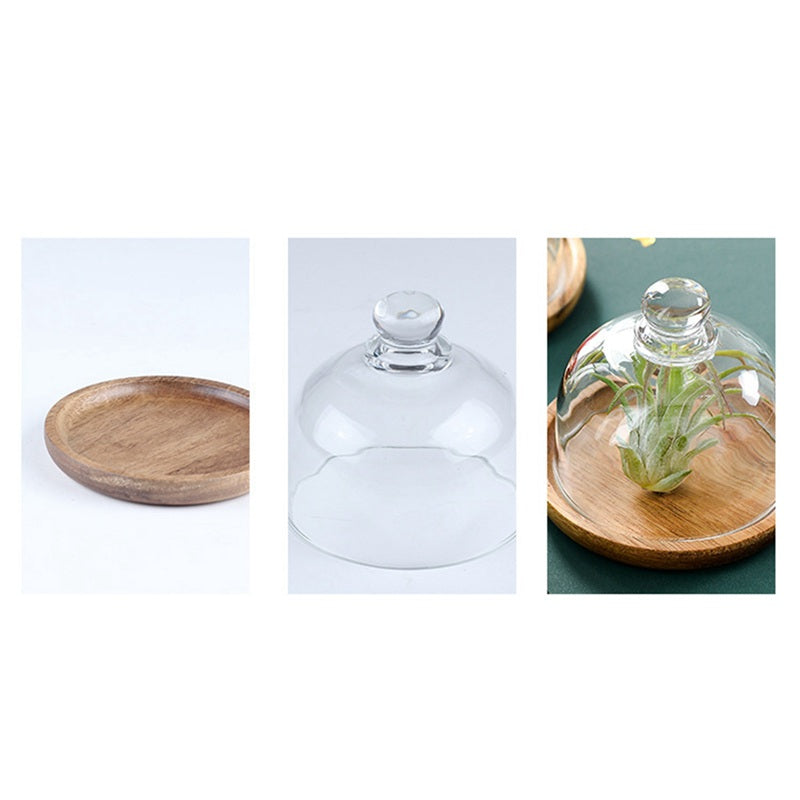 Clear Glass Dessert & Cheese Cloche Dome w/ Acacia Wood Serving Tray