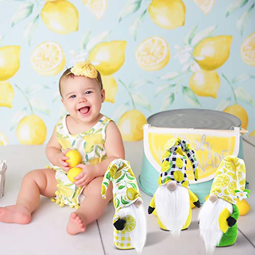 Set of 3 Lemon Gnome Scandinavian Tomte Nisse Swedish Christmas Decoration