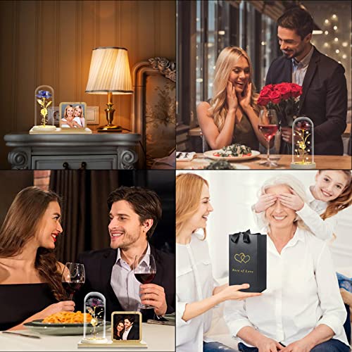 Rose Flower in Glass Dome & Photo Frame for Valentines/Anniversary Gift