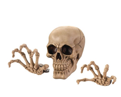 3D-Effect Skeleton Gothic Wall Décor Set | Cool Gift and Props, Perfect for Creepy Unique Decorations for Home, Bedroom, Mancave Decor