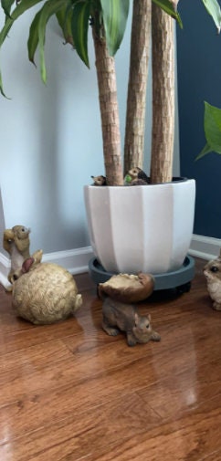 Cute and Realistic Woodland Squirrel Birdfeeder for Indoor and Outdoor Use