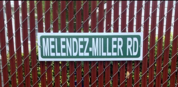 Personalized Green Road Sign Metal, Green Street Sign, Any Text Any Name, Indoor Outdoor Wall Mount Decor