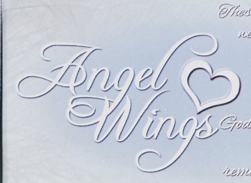 Angel Wing Protection Necklace for Women, Jewelry Gifts for Valentines, Birthday, Christmas or Anniversary, Silver-plated