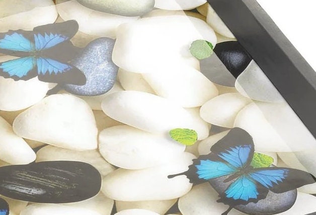 Butterfly Serving Tray, Decorative Food Party Platter, Fun Centerpiece for Coffee or Dining Room Table, Christmas Gifts Ideas For Mom, Wife