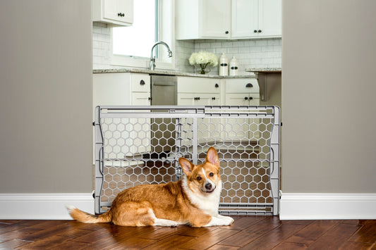 Easy Fit Plastic Adjustable Dog Gate, Gray, 42"L x 3"W x 23"H