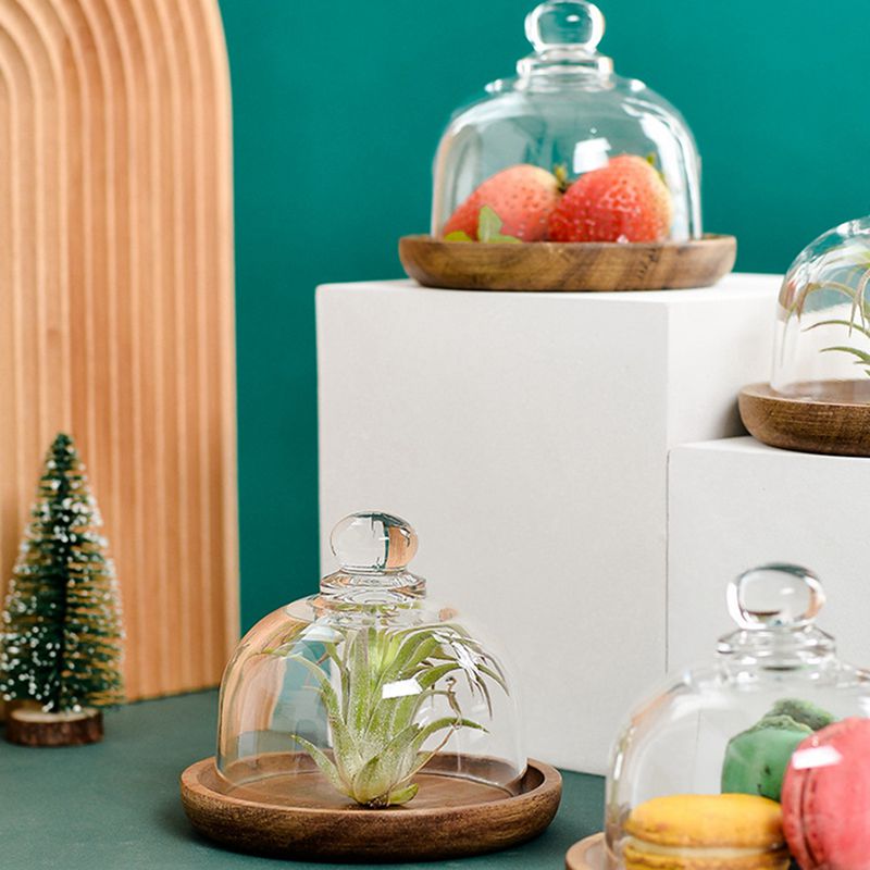 Clear Glass Dessert & Cheese Cloche Dome w/ Acacia Wood Serving Tray