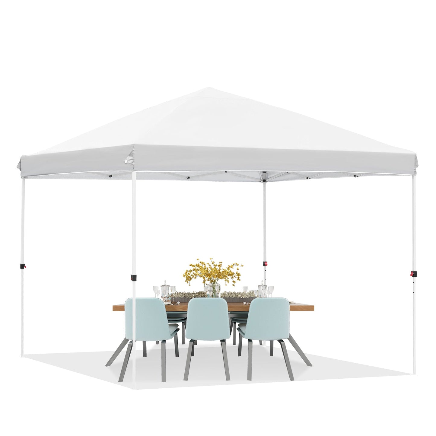 10' x 10' Pop up Canopy