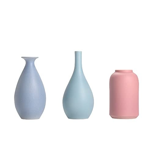 Elegant Colorful Ceramic Flower Vase Set of 3