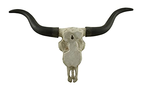 Black & Bone Decorative Longhorn Trophy Skull Wall Sculpture 20 Inch Long