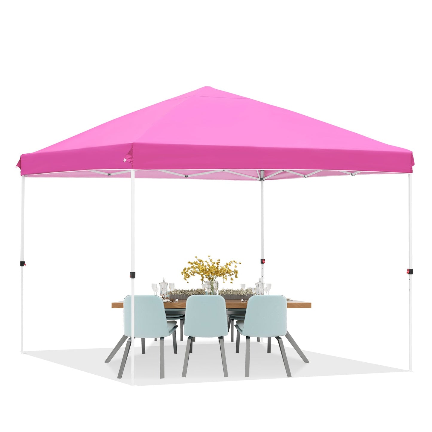 10' x 10' Pop up Canopy