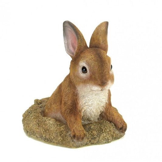 Summerfield Terrace CURIOUS BUNNY GARDEN DECOR