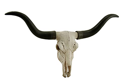 Black & Bone Decorative Longhorn Trophy Skull Wall Sculpture 20 Inch Long