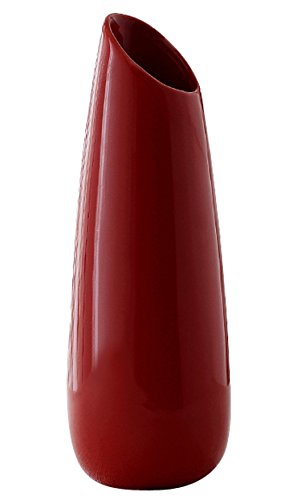 Elegant Ceramic Vase for Home Decor