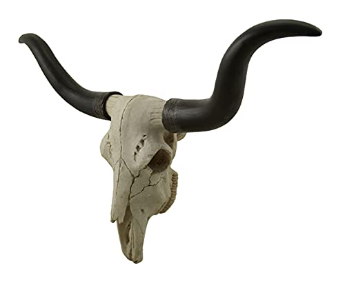 Black & Bone Decorative Longhorn Trophy Skull Wall Sculpture 20 Inch Long