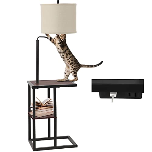 Modern Floor Lamp W/ End Table & USB Charging Port