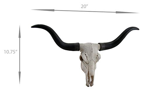 Black & Bone Decorative Longhorn Trophy Skull Wall Sculpture 20 Inch Long