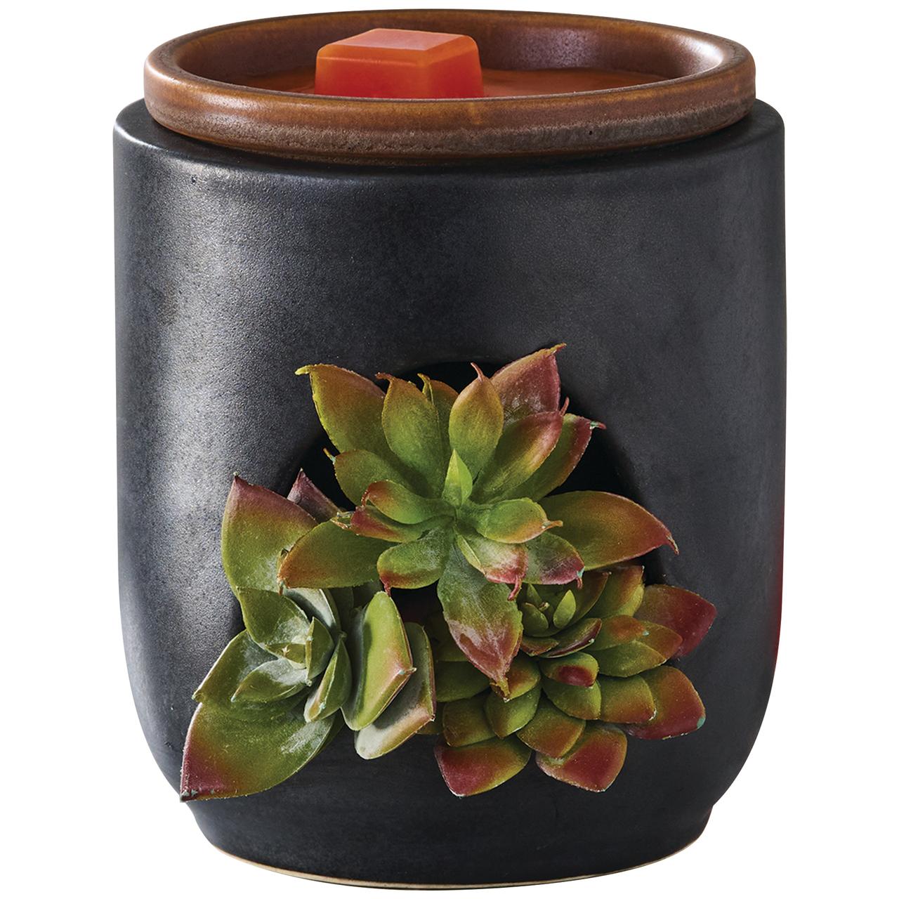 Full Size Fragrance Warmer, Succulent