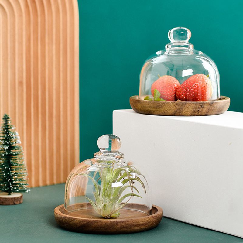 Clear Glass Dessert & Cheese Cloche Dome w/ Acacia Wood Serving Tray