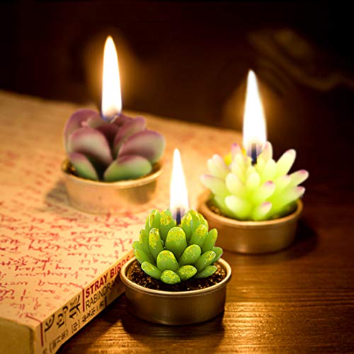 12Pcs Cute Handmade Artificial Succulents Tealight Candles Set