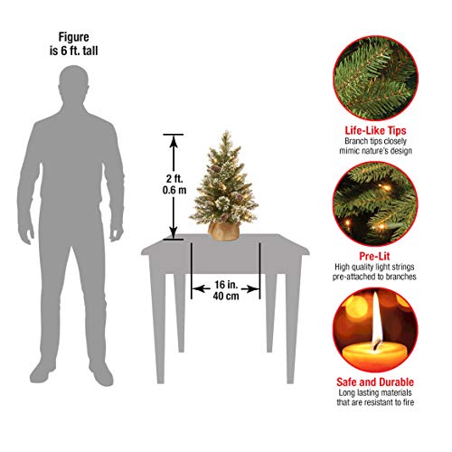 2 Ft Pre-lit Artificial Mini Christmas Tree