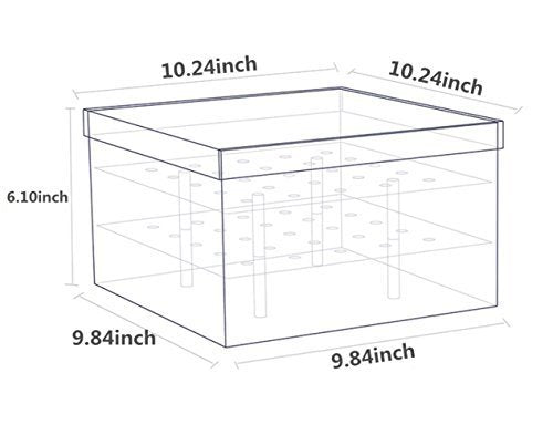 Acrylic Flower Box Water Holder, Clear Rose Pots Stand - Decorative Square Vase