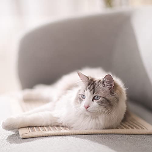 Horizontal Cat Floor Scratching Pad/Mat, Protect Carpets and Sofas