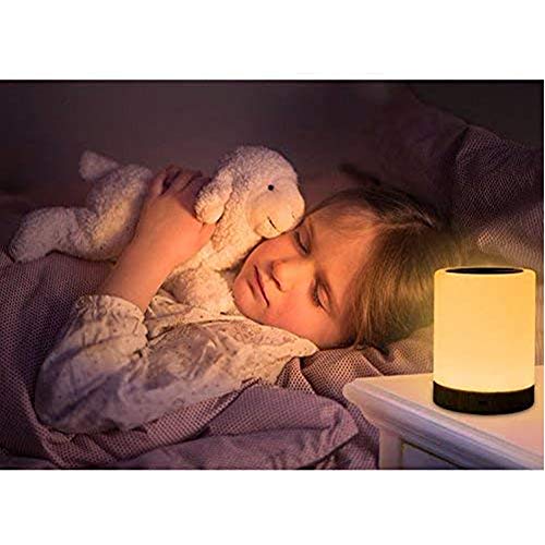 Night Light Touch Sensor Lamp Rechargeable Dimmable Warm White Light + RGB Color Changing