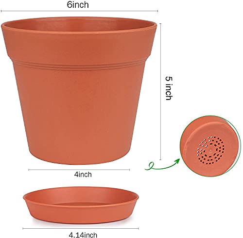 15 Pack 6 inch Plastic Planters w/ Multiple Drainage Holes & Tray