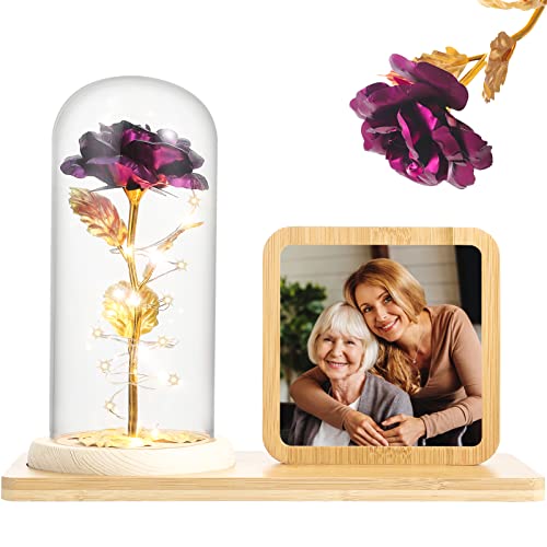 Rose Flower in Glass Dome & Photo Frame for Valentines/Anniversary Gift
