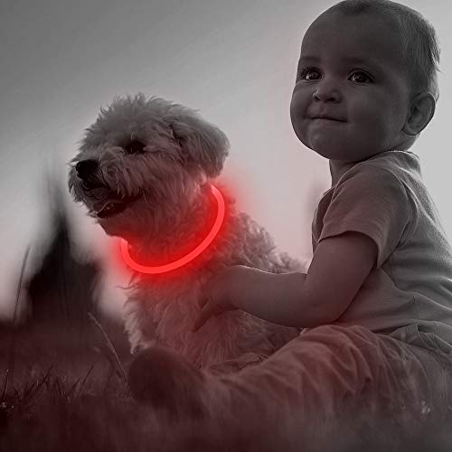 Led Dog Collar USB Rechargeable Flash Dog Necklace Light, Pet Safety Collar