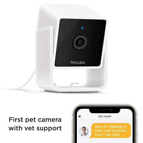 Monitoring Camera w/ Built-in Vet Chat for Cats & Dogs, 1080p HD Video, Night Vision, Two-Way Audio