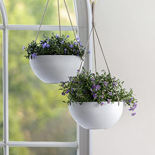 Hanging Planter Flower Plant Pots - 10 Inch-Set of 2