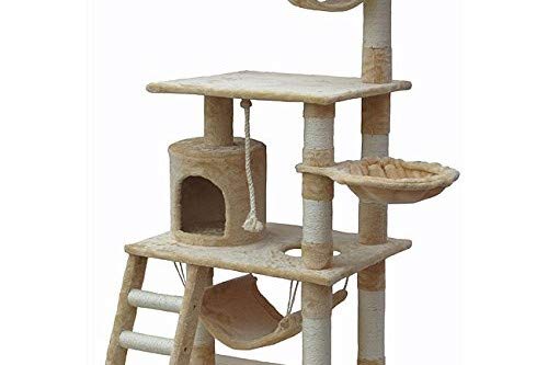 62-Inch Cat Tree- Cat Condo House