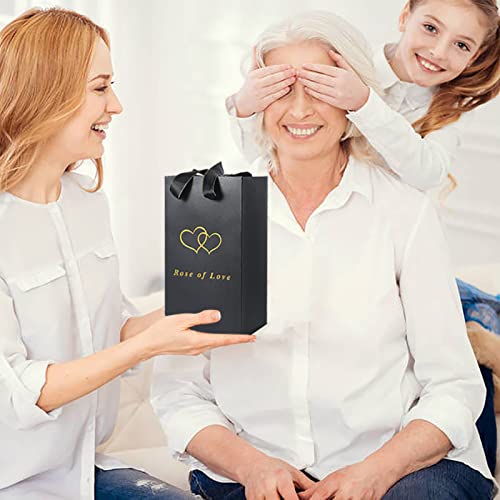 Rose Flower in Glass Dome & Photo Frame for Valentines/Anniversary Gift