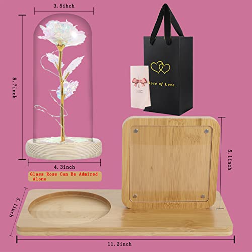 Rose Flower in Glass Dome & Photo Frame for Valentines/Anniversary Gift