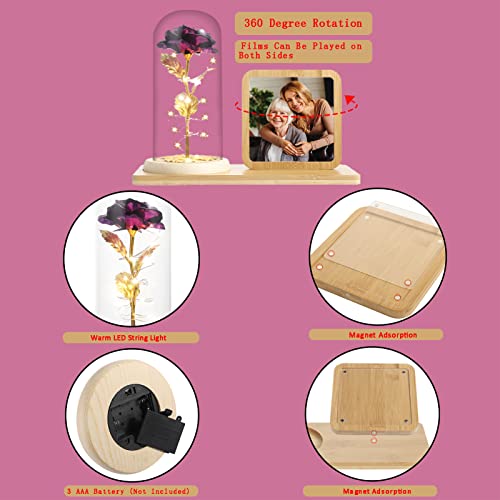 Rose Flower in Glass Dome & Photo Frame for Valentines/Anniversary Gift