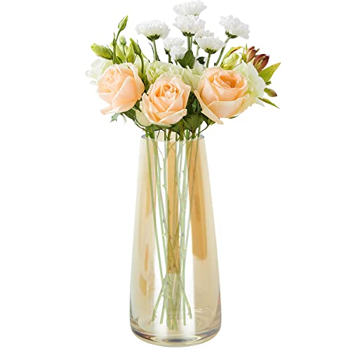 Modern Clear Glass Flower Vase 8.7 Inch