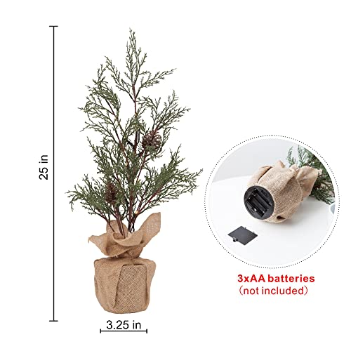 2 Pack Pre-lit Artificial Mini Christmas Tree