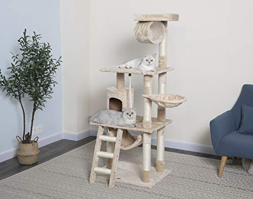 62-Inch Cat Tree- Cat Condo House