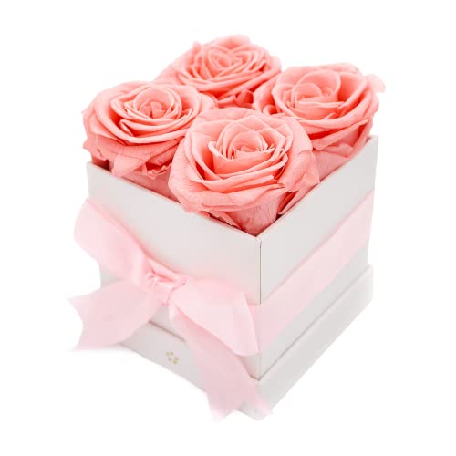 4 Blush Preserved Fresh Flowers Gift for Women