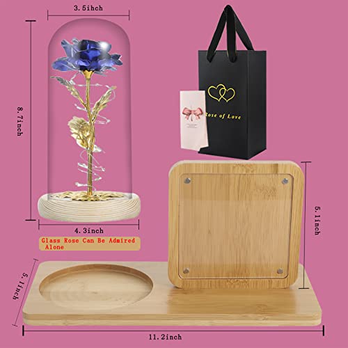 Rose Flower in Glass Dome & Photo Frame for Valentines/Anniversary Gift
