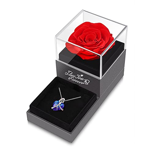 Preserved Rose w/ Heart Necklace -Real Rose Gifts for Valentines Day