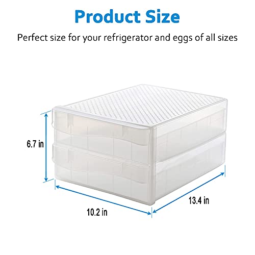 60 Grid Eggs Storage Container for Refrigerator