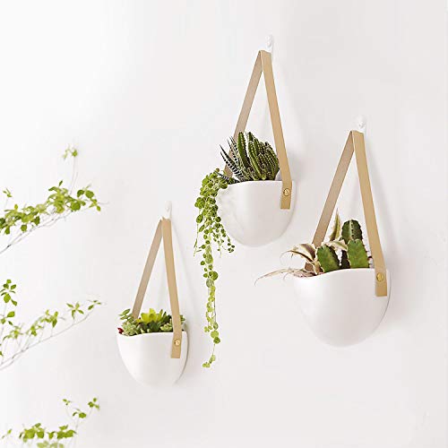 Set of 3 Modern Hanging Flower Plant Pots - (Plant Not Included), White