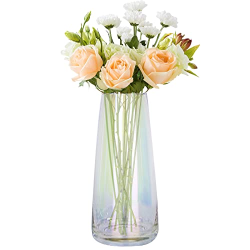 Modern Clear Glass Flower Vase 8.7 Inch