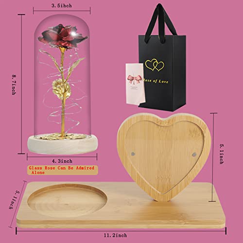 Rose Flower in Glass Dome & Photo Frame for Valentines/Anniversary Gift